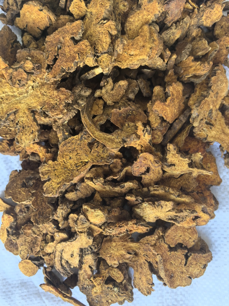 炒苍术中药材苍术新货带朱砂点东弘药材一手货源现货供应
