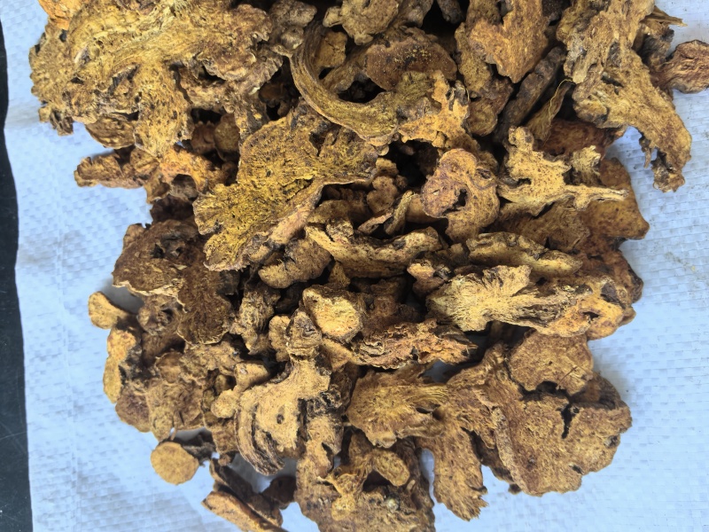 炒苍术中药材苍术新货带朱砂点东弘药材一手货源现货供应