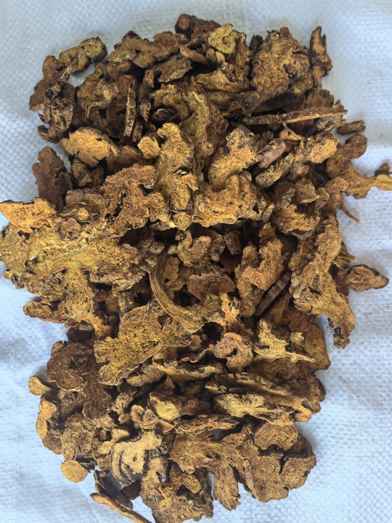 炒苍术中药材苍术新货带朱砂点东弘药材一手货源现货供应