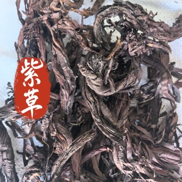 紫草中药材紫草新货软紫草东弘药材一手货源现货供应