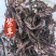 紫草中药材紫草新货软紫草东弘药材一手货源现货供应