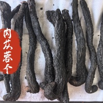 肉苁蓉个中药材肉苁蓉软肉苁蓉新货东弘药材一手货源现货供应