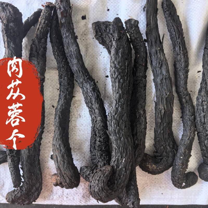 肉苁蓉个中药材肉苁蓉软肉苁蓉新货东弘药材一手货源现货供应