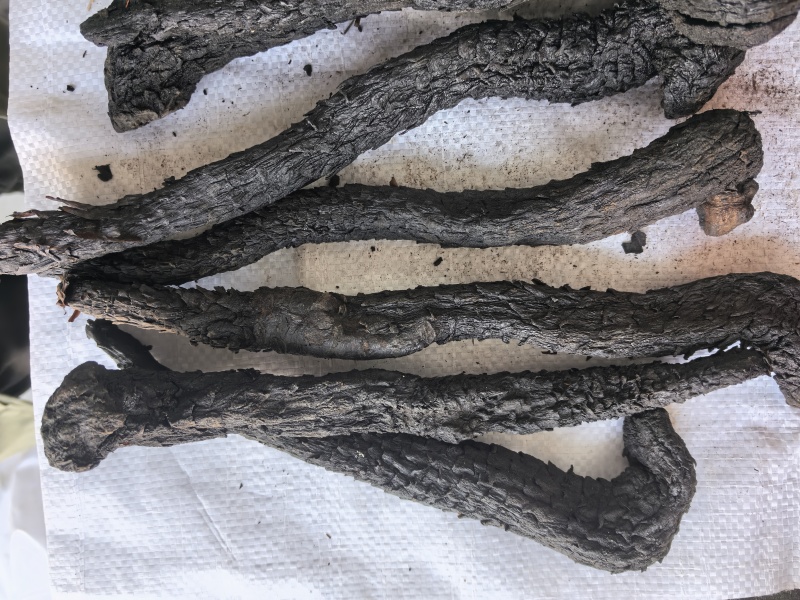 肉苁蓉个中药材肉苁蓉软肉苁蓉新货东弘药材一手货源现货供应