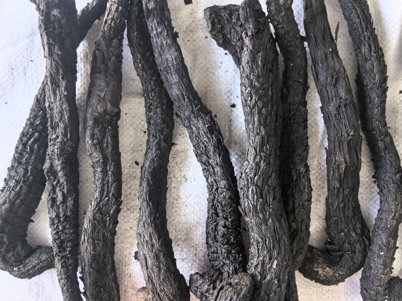肉苁蓉个中药材肉苁蓉软肉苁蓉新货东弘药材一手货源现货供应