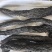 肉苁蓉个中药材肉苁蓉软肉苁蓉新货东弘药材一手货源现货供应