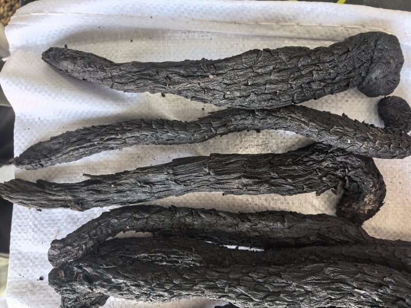 肉苁蓉个中药材肉苁蓉软肉苁蓉新货东弘药材一手货源现货供应