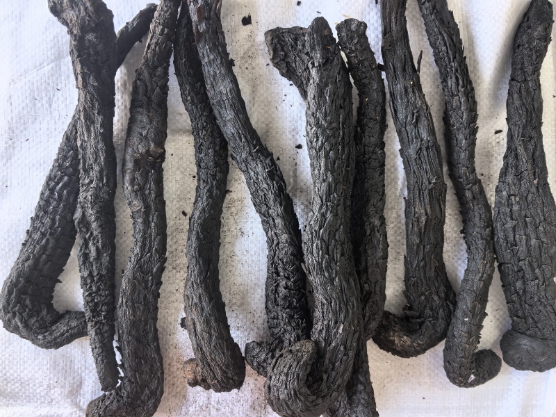 肉苁蓉个中药材肉苁蓉软肉苁蓉新货东弘药材一手货源现货供应