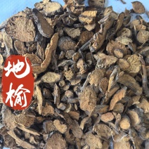 地榆中药材地榆新货东弘药材一手货源现货供应