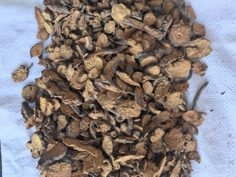 地榆中药材地榆新货东弘药材一手货源现货供应