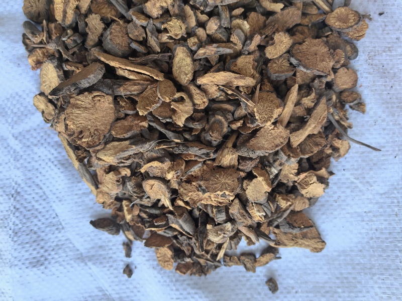 地榆中药材地榆新货东弘药材一手货源现货供应