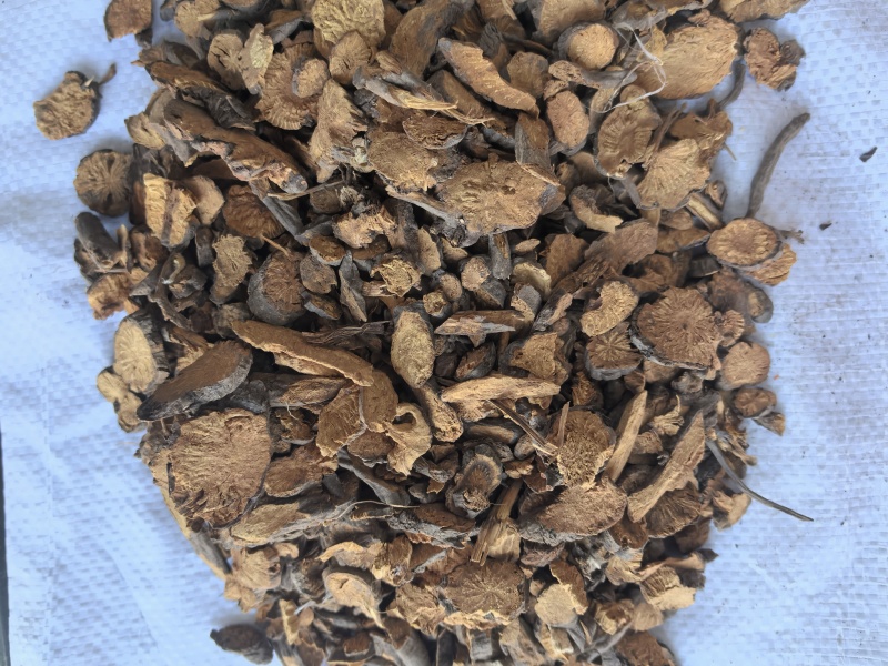 地榆中药材地榆新货东弘药材一手货源现货供应