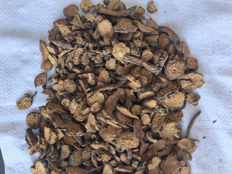 地榆中药材地榆新货东弘药材一手货源现货供应