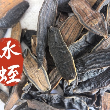 水蛭中药材水蛭新货东弘药材一手货源现货供应