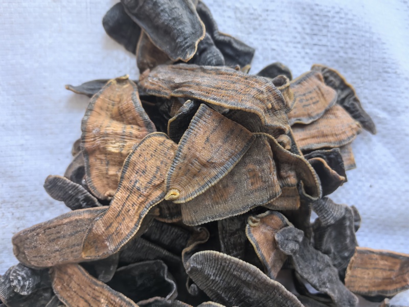 水蛭中药材水蛭新货东弘药材一手货源现货供应