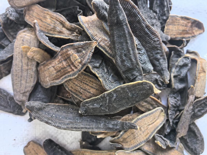 水蛭中药材水蛭新货东弘药材一手货源现货供应