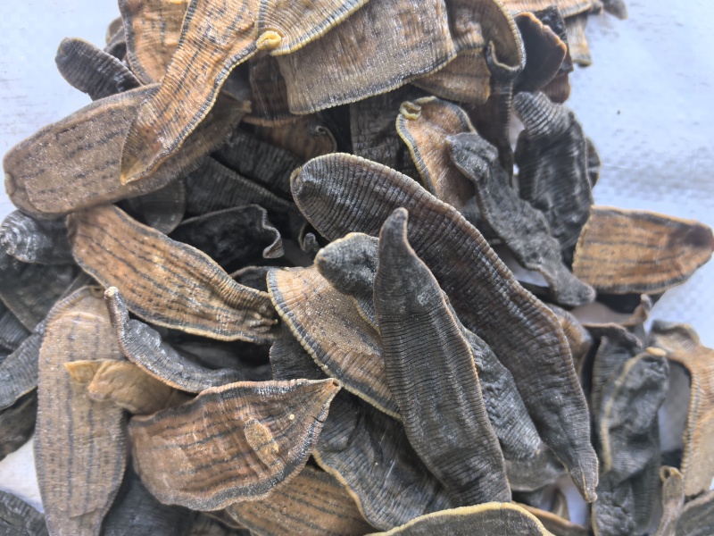 水蛭中药材水蛭新货东弘药材一手货源现货供应