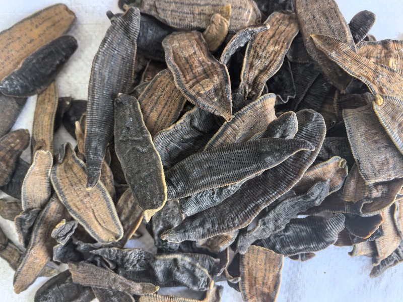 水蛭中药材水蛭新货东弘药材一手货源现货供应