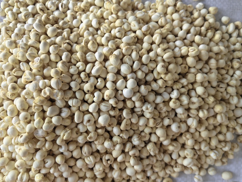 小贝母平贝母中药材贝母0.6贝母东弘药材一手货源现货供应