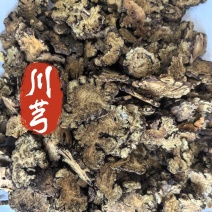 川芎中药材川芎新货东弘药材一手货源现货供应