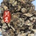 川芎中药材川芎新货东弘药材一手货源现货供应