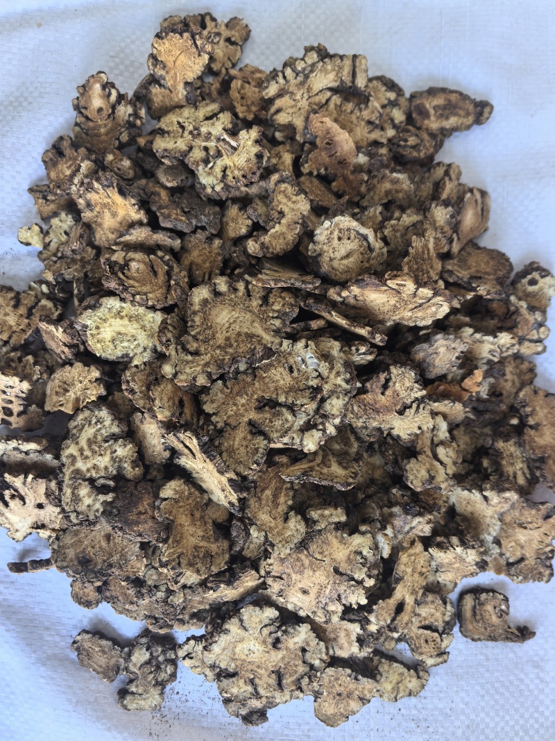 川芎中药材川芎新货东弘药材一手货源现货供应