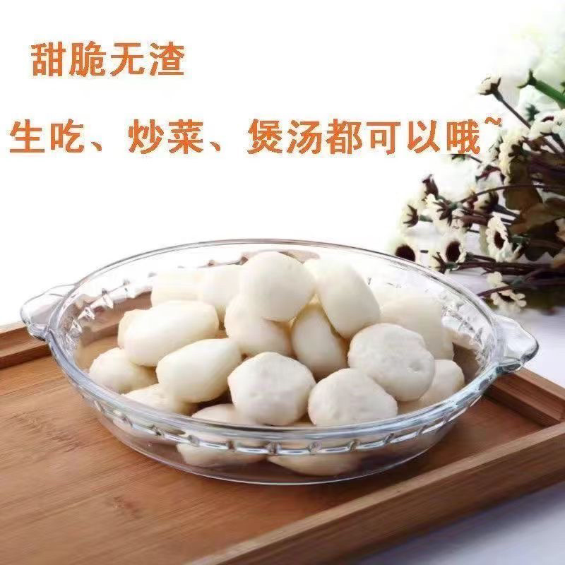 大量现货供应大中小果，支持一件代发，各大平台，一手货源