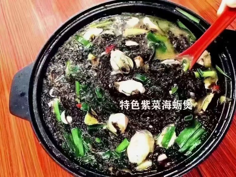 火山岛头水紫菜