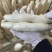 签字馒头，竹签馒头，各种加工食品精品制作，出厂价欢迎采购