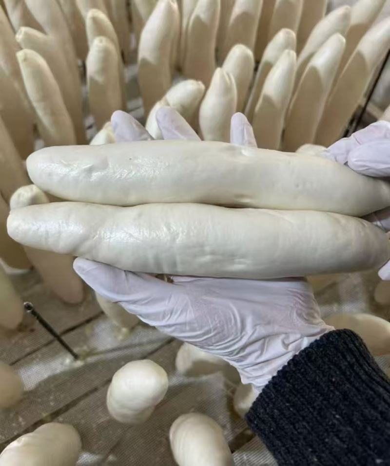 签字馒头，竹签馒头，各种加工食品精品制作，出厂价欢迎采购