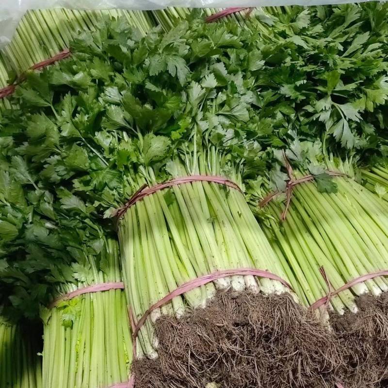 芹菜