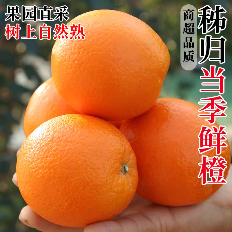 湖北纽荷尔脐橙，新鲜采摘，香甜多汁，支持商超市场电商