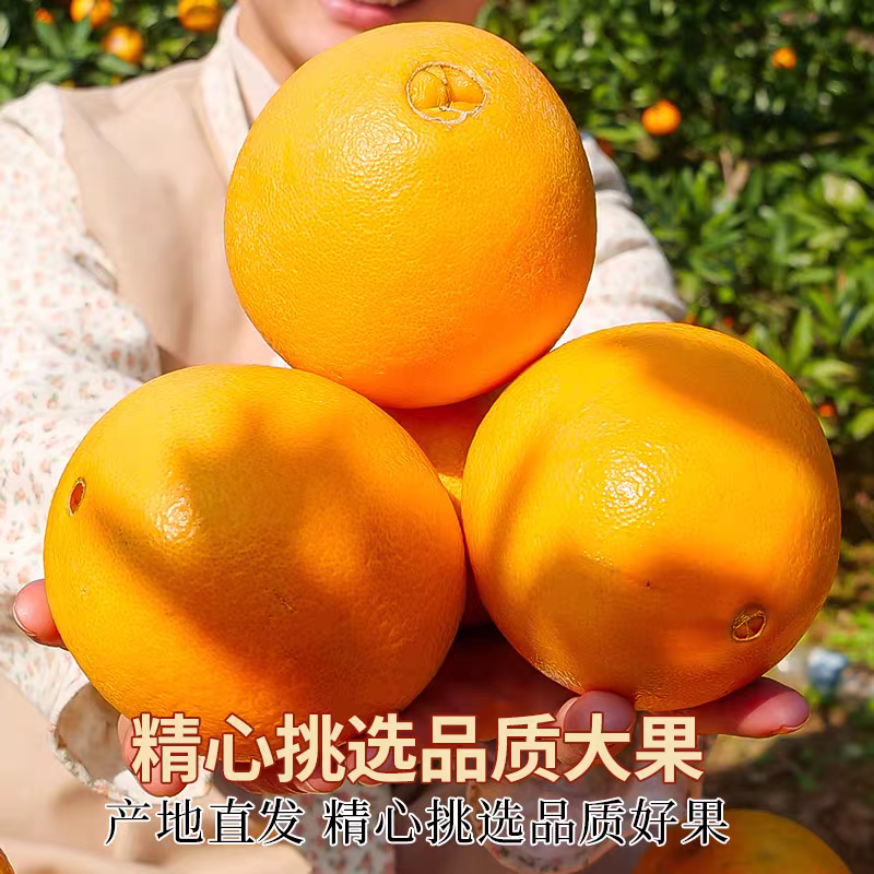 湖北纽荷尔脐橙，新鲜采摘，香甜多汁，支持商超市场电商