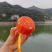 【精选】中华红橙湖北橙子现摘现发新鲜多汁口感香甜