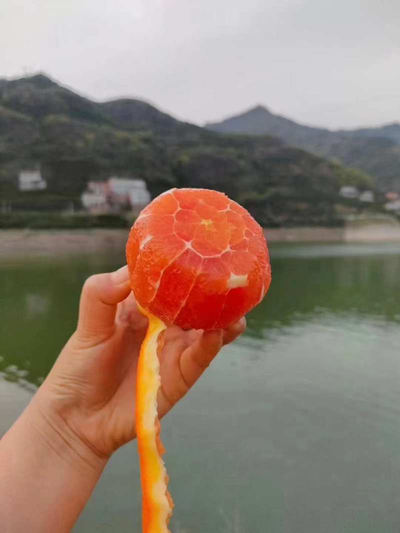 【精选】中华红橙湖北橙子现摘现发新鲜多汁口感香甜