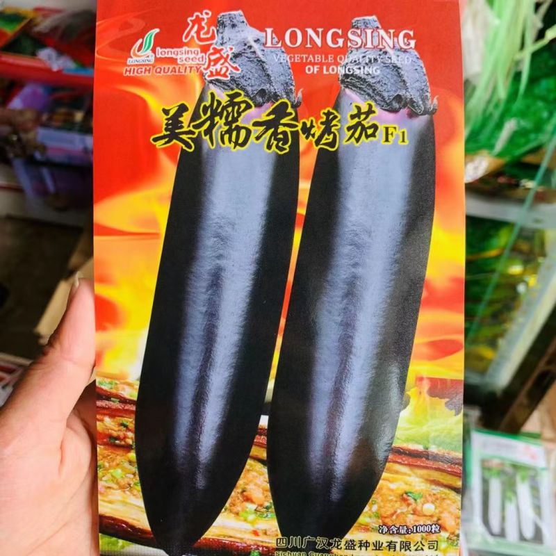 龙盛美糯香烤茄种子四季烧烤茄子种籽油黑香美味烧烤茄种基地