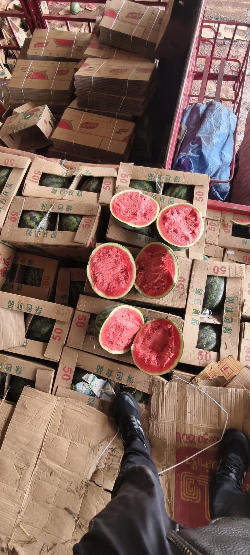 甜王西瓜精品西瓜大量有货皮薄瓜瓤红耐运输欢迎来电咨询