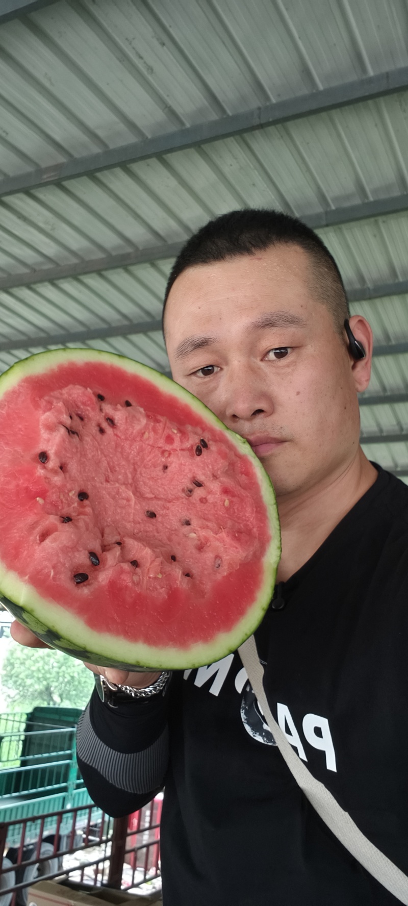 甜王西瓜精品西瓜大量有货皮薄瓜瓤红耐运输欢迎来电咨询