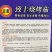 致丰烧烤茄果肉白色有光泽抗病性强粗生易种植适应性广