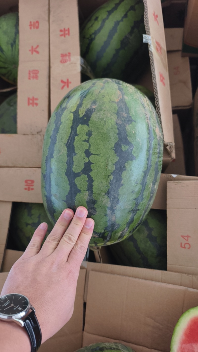甜王西瓜精品西瓜大量有货皮薄瓜瓤红耐运输欢迎来电咨询