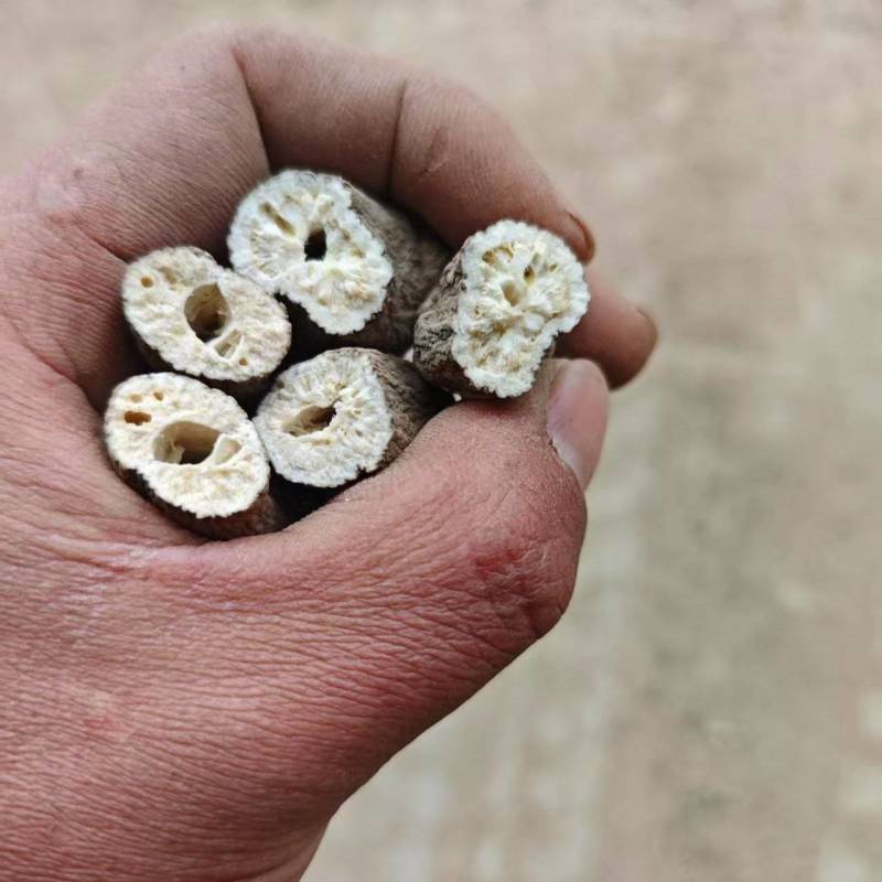 白术炒白术干货，精品中药材白术干欢迎老板联系价格实惠