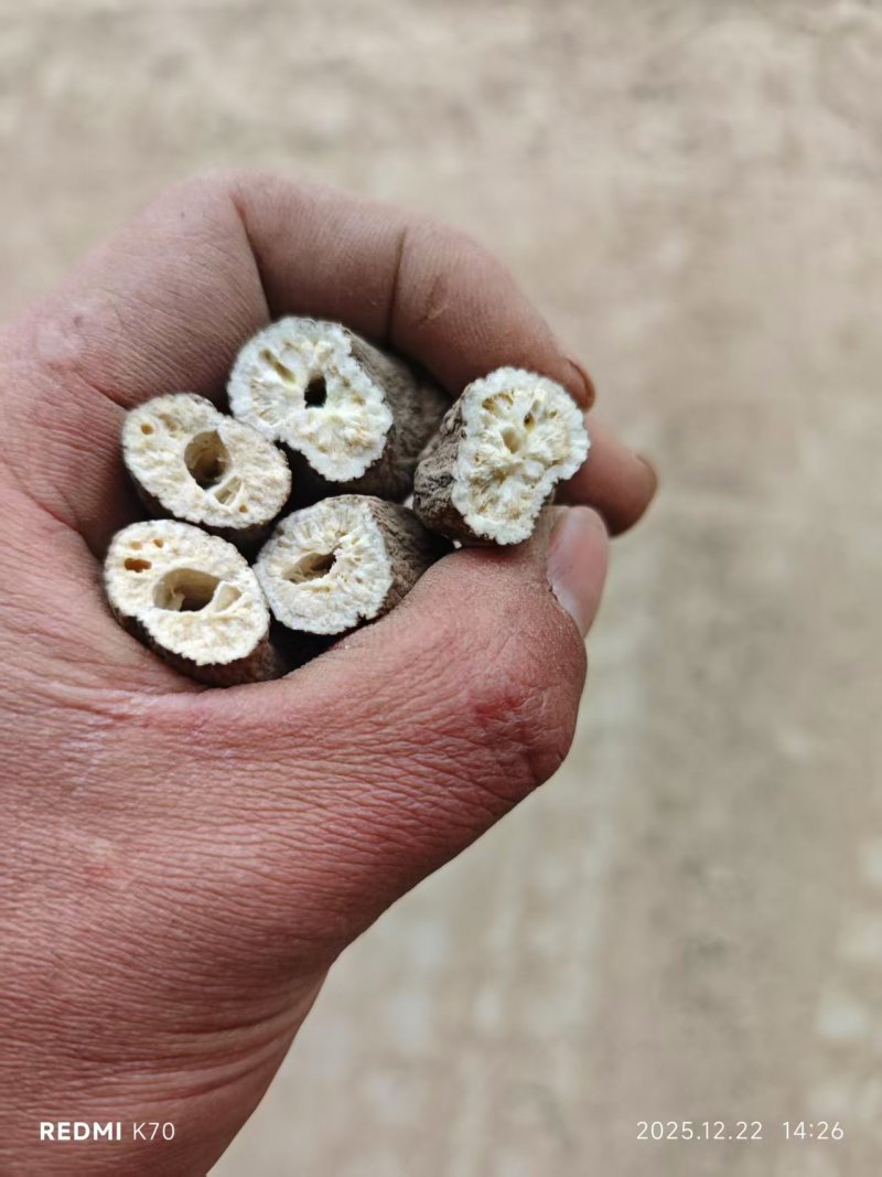 白术炒白术干货，精品中药材白术干欢迎老板联系价格实惠
