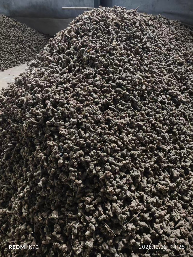 白术炒白术干货，精品中药材白术干欢迎老板联系价格实惠