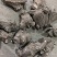 白术炒白术干货，精品中药材白术干欢迎老板联系价格实惠