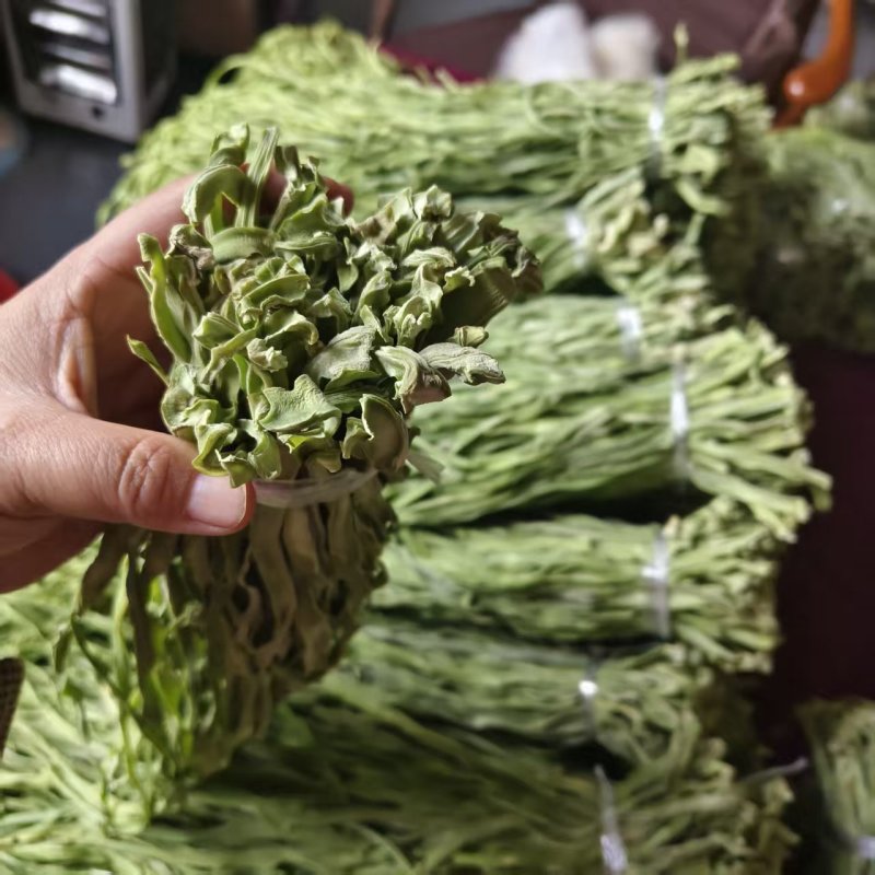 精品贡菜高原优质贡菜规格齐全量大从优欢迎来电