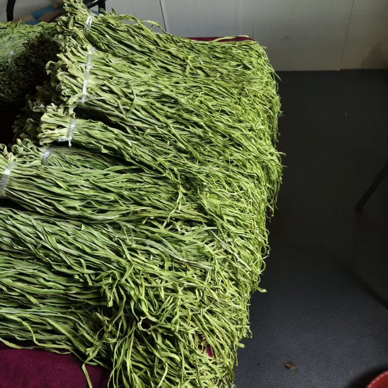 精品贡菜高原优质贡菜规格齐全量大从优欢迎来电