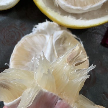 江永香柚自己种的