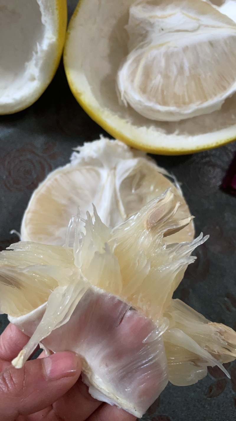 江永香柚自己种的