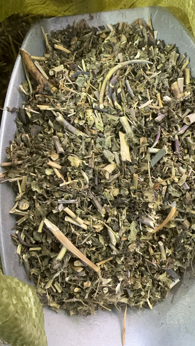 泽漆批发优质泽漆产地一首货源规格齐全量大价优