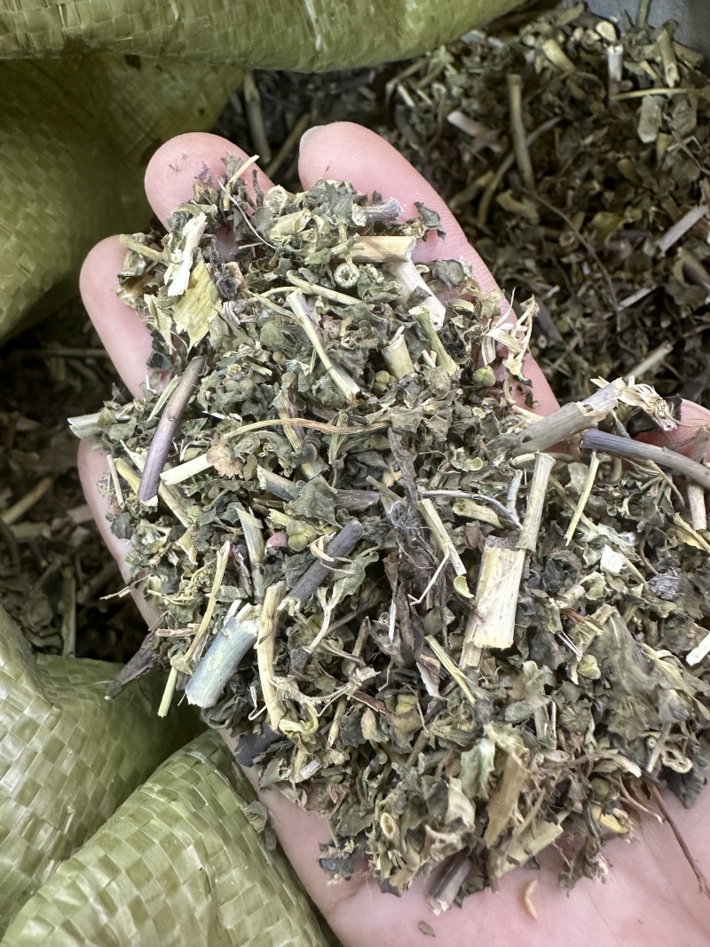 泽漆批发优质泽漆产地一首货源规格齐全量大价优